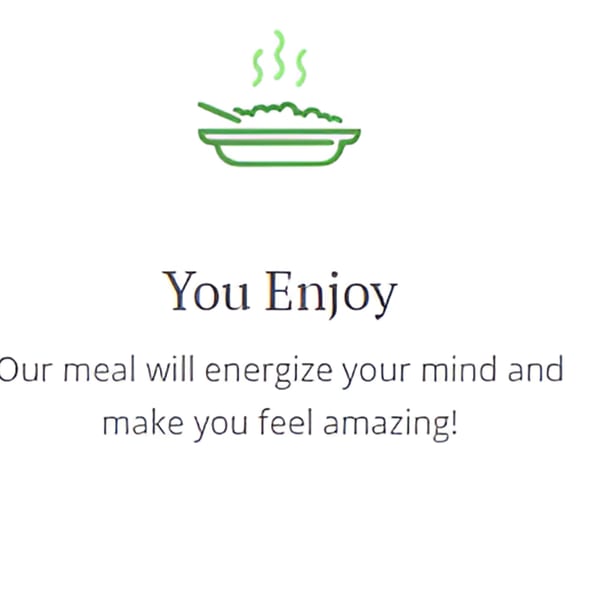 Green line art icon of a steaming bowl of food with text "You Enjoy" and "Our meal will energize your mind and make you feel amazing!"