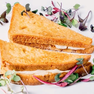 Grilled Cheeze
